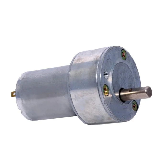 12v DC RS-50-555 Gear / Geared Motor 300 RPM – High Torque