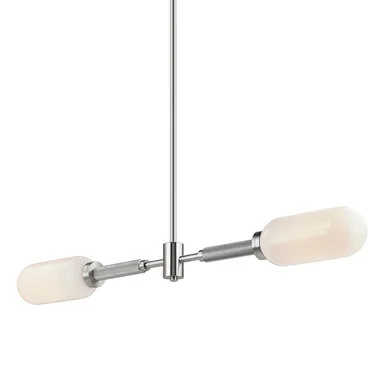 Annex Two Light Linear Pendant in Anodized Aluminum (67|F7366)