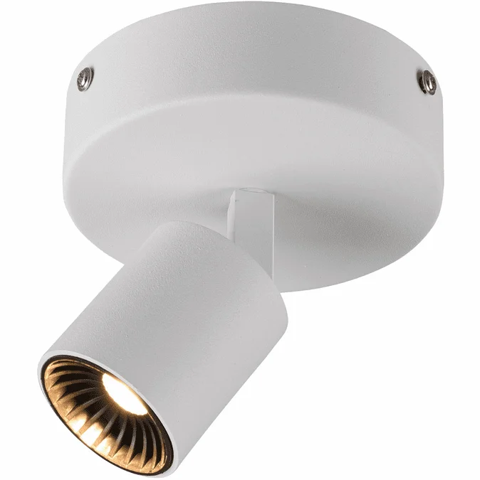 Arnsberg 829230101 Cayman Contemporary Satin Nickel LED Ceiling Light Fixture