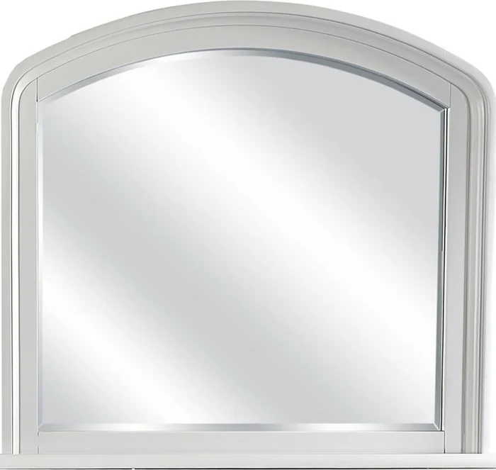 Aspenhome Cambridge Double Mirror in Gray ICB-462-GRY EST SHIP TIME IS 2 WEEKS