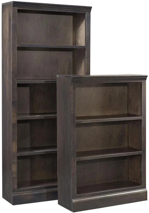 Aspenhome Churchill 48″ Bookcase with 2 Fixed Shelves in Ghost Black DR3448-GHT