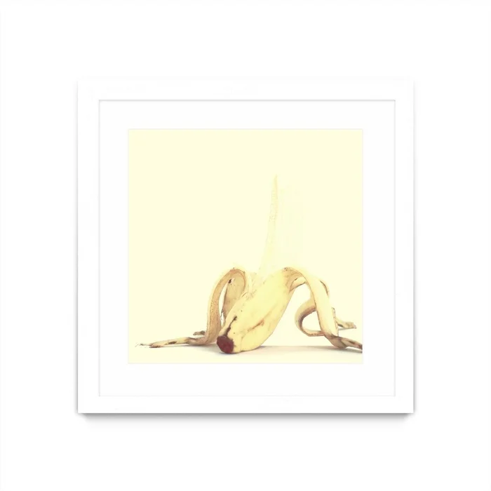 Banada Honey Puff Matted and Framed White 36×36 Wall Art|uvre dart murale encadre blanche et mate Banada Honey Puff 36×36