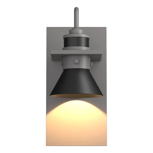 Erlenmeyer Dark Sky Friendly Outdoor Sconce (65|307716-SKT-78-80)