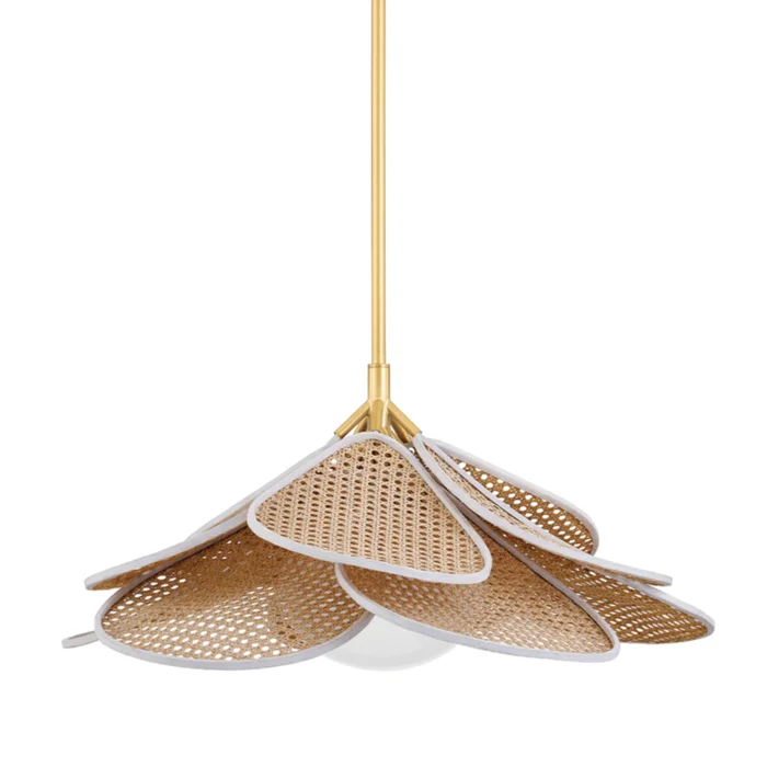 Florina 1-Light Pendant in Aged Brass 28L x 28W x 13.5H
