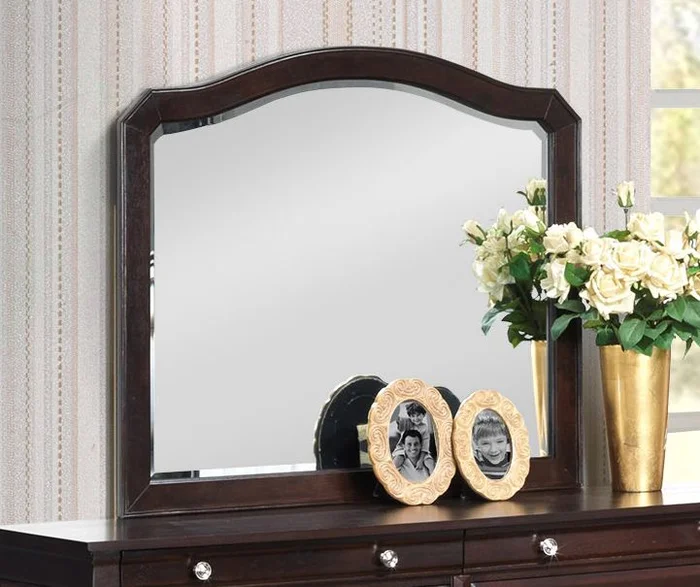 Glory Furniture G9000 Mirror in Cappuccino G9000-M
