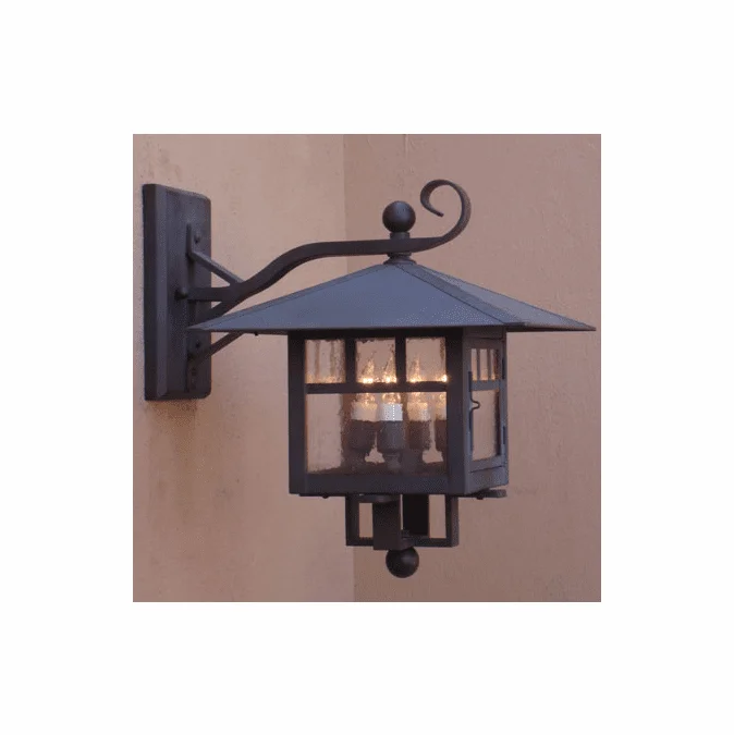 Lighting Innovations 3203 Exterior 12″ Wide x 14.5″ Tall Wall Light Sconce