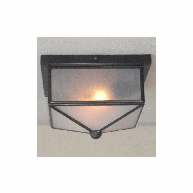 Lighting Innovations C2601 Outdoor 10″ Wide x 5″ Tall Flush Mount Lighting Fixture
