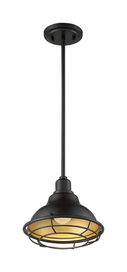 Newbridge One Light Pendant in Dark Bronze / Gold (72|60-7013)