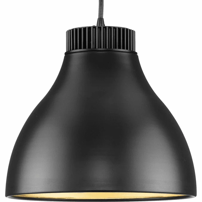 Progress P500372-31M-30 Radian LED Modern Matte Black LED Pendant Hanging Light