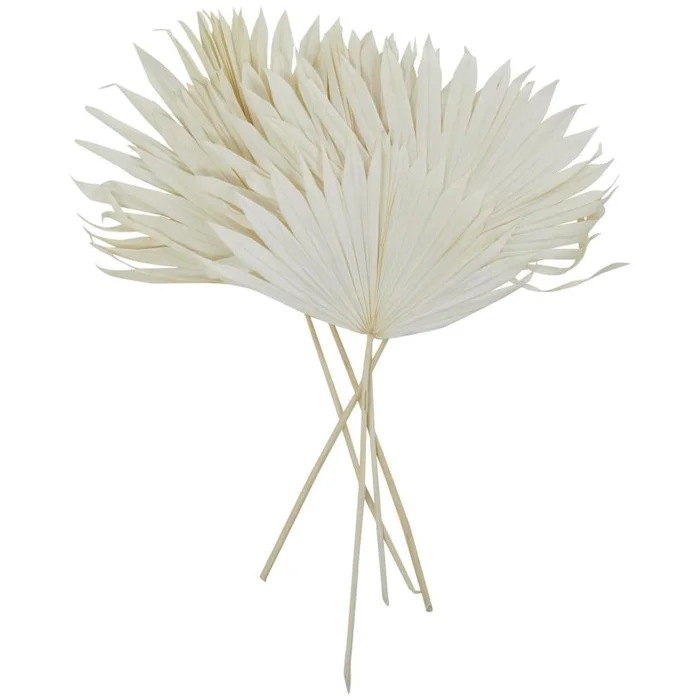 UMA White Dried Plant Palm Leaf Handmade Large Sun Palm Spear Home Decor Natural Foliage, 19″ x 3″ x 31″ | 12371